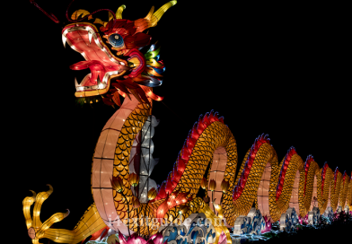 Asian Lantern Festival ‘Into the Wild’ Now Open at Central Florida Zoo & Botanical Gardens